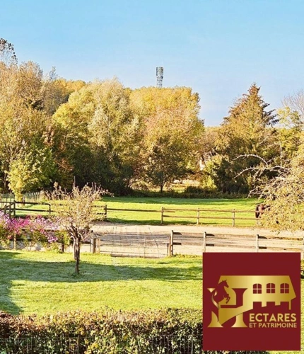 Photos 2 - Équestre - Charmante propriété avec installations équestres