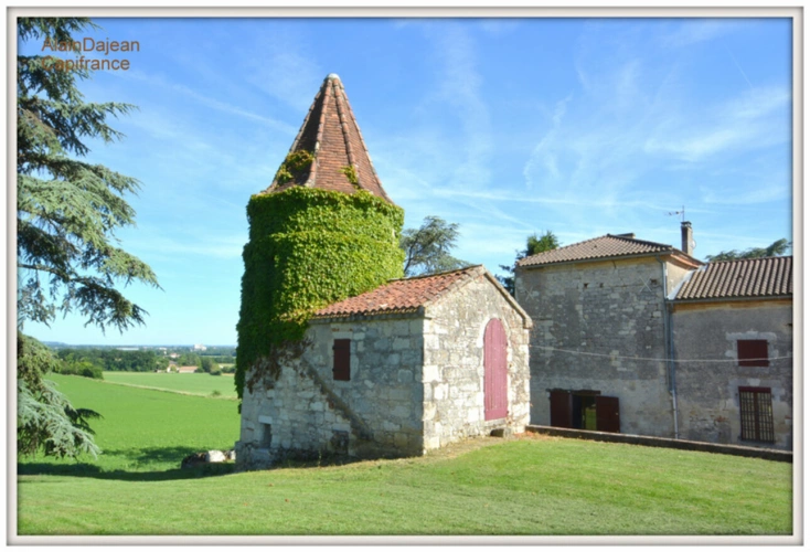 Photos 24 - Prestige - Dpt Lot et Garonne (47), à vendre proche d' AGEN Propriété P8 de 385 m² plus dépendances de 400 M2- Terrain d'une Hectare