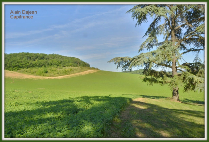 Photos 29 - Prestige - Dpt Lot et Garonne (47), à vendre proche d' AGEN Propriété P8 de 385 m² plus dépendances de 400 M2- Terrain d'une Hectare