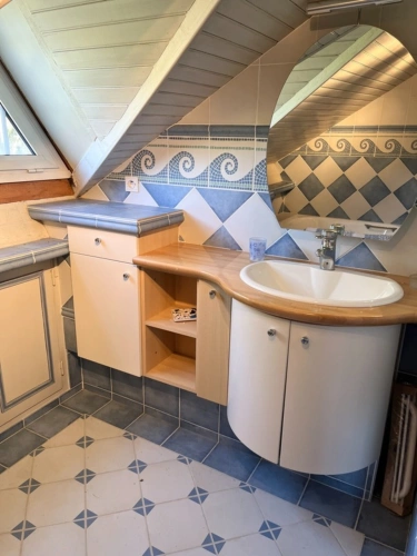 Photos 13 - Prestige - Propriete à vendre - SAINT MAURICE SUR FESSARD (45)