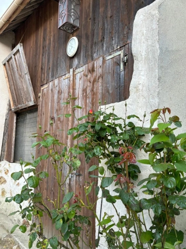 Photos 3 - Équestre - Propriété équestre multipotentiel au coeur de la Brie