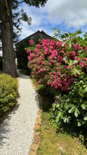 Photos 4 - Équestre - Propriété équestre multipotentiel au coeur de la Brie