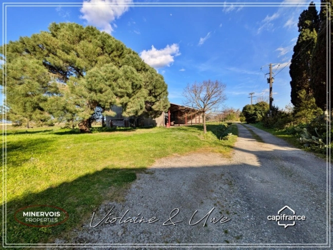 Photos 4 - Rurale - DOMAINE D'EXCEPTION AU CŒUR DU LAURAGAIS – 625 m² HABITABLES – 3,8 HECTARES – FORT POTENTIEL ÉVÉNEMENTIEL ET TOURISTIQUE