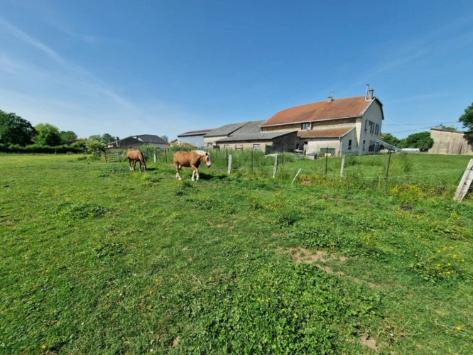 Photos 1 - Prestige - PROPRIÉTÉ à vendre 8 pièces proche NANCY (54) sur 2,5 HECTARES - PROPRIÉTÉ AGRICOLE avec FERME rénovée, DEPENDANCES, ECURIES, GRANGES