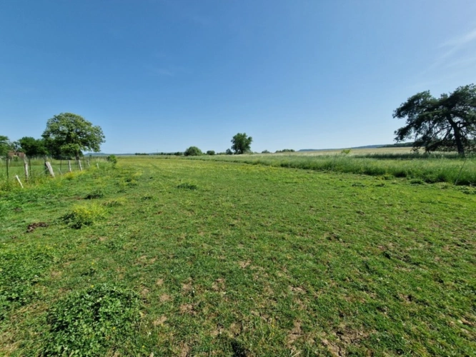 Photos 2 - Prestige - PROPRIÉTÉ à vendre 8 pièces proche NANCY (54) sur 2,5 HECTARES - PROPRIÉTÉ AGRICOLE avec FERME rénovée, DEPENDANCES, ECURIES, GRANGES