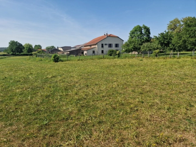 Photos 3 - Prestige - PROPRIÉTÉ à vendre 8 pièces proche NANCY (54) sur 2,5 HECTARES - PROPRIÉTÉ AGRICOLE avec FERME rénovée, DEPENDANCES, ECURIES, GRANGES