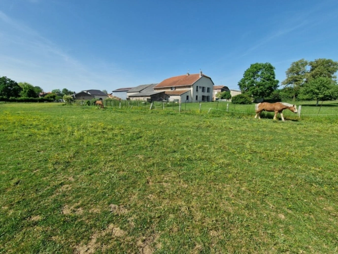 Photos 6 - Prestige - PROPRIÉTÉ à vendre 8 pièces proche NANCY (54) sur 2,5 HECTARES - PROPRIÉTÉ AGRICOLE avec FERME rénovée, DEPENDANCES, ECURIES, GRANGES