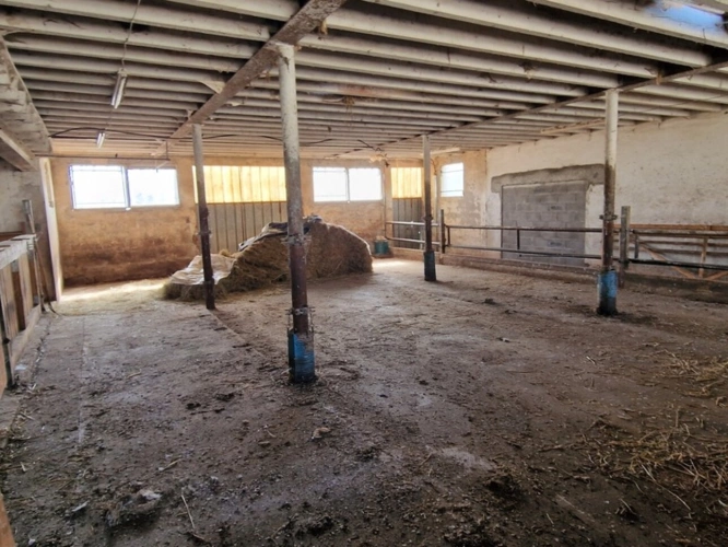Photos 7 - Prestige - PROPRIÉTÉ à vendre 8 pièces proche NANCY (54) sur 2,5 HECTARES - PROPRIÉTÉ AGRICOLE avec FERME rénovée, DEPENDANCES, ECURIES, GRANGES