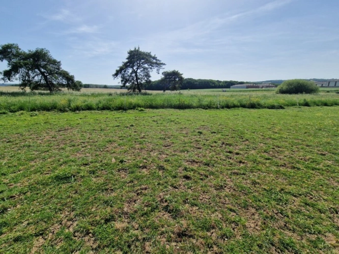 Photos 9 - Prestige - PROPRIÉTÉ à vendre 8 pièces proche NANCY (54) sur 2,5 HECTARES - PROPRIÉTÉ AGRICOLE avec FERME rénovée, DEPENDANCES, ECURIES, GRANGES