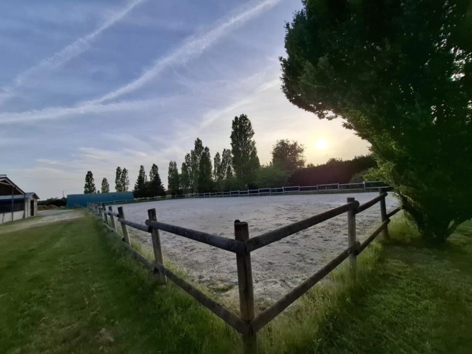 Photos 7 - Équestre - Propriété équestre d'exception aux portes d'Amboise - Plus
