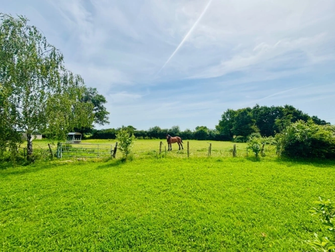 Photos 16 - Touristique - À VENDRE MAYENNE – Manoir d’exception du XIIIe siècle sur 3 hectares – Gîte ou demeure familiale de charme