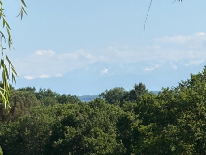 Photos 2 - Prestige - PLAISANCE DU GERS(32) sur les coteaux, PROPRIETE D ARCHITECTE 1965 sur 2HA, Dépendances, un peu cachée , VUE Pyrénées et bois, sans vis à vis, CALME