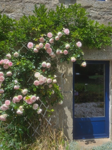 Photos 10 - Rurale - Propriete à vendre 6 pièces proche de ESQUIBIEN (29)