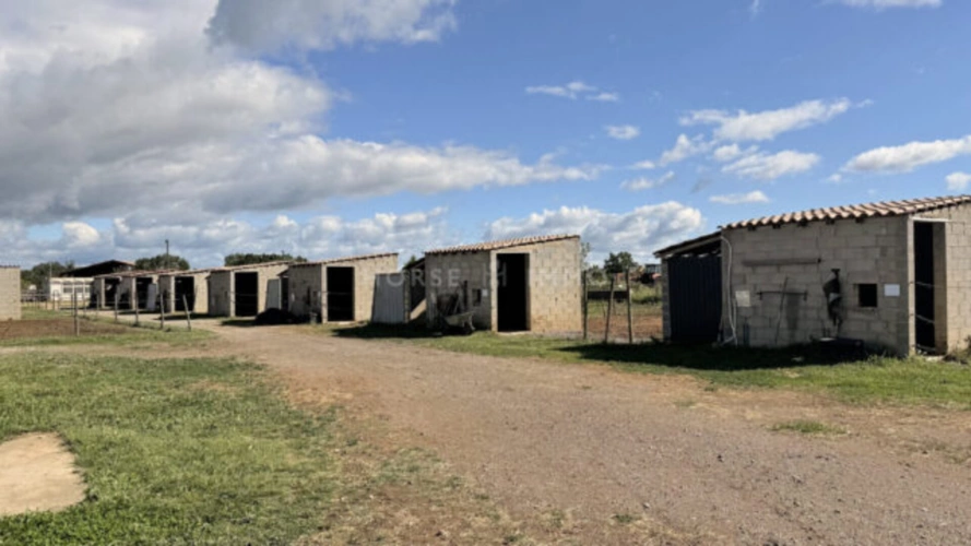 Photos 3 - Équestre - Rare- Propriété équestre clé en main