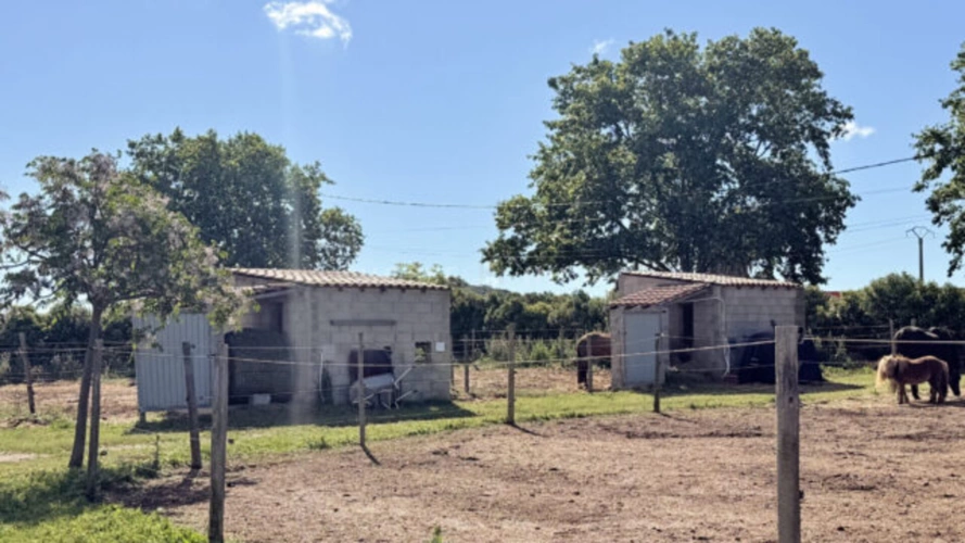 Photos 10 - Équestre - Rare- Propriété équestre clé en main