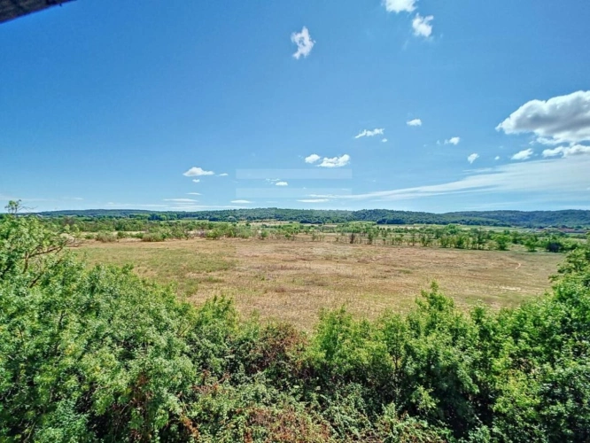 Photos 3 - Agricole - Propriété