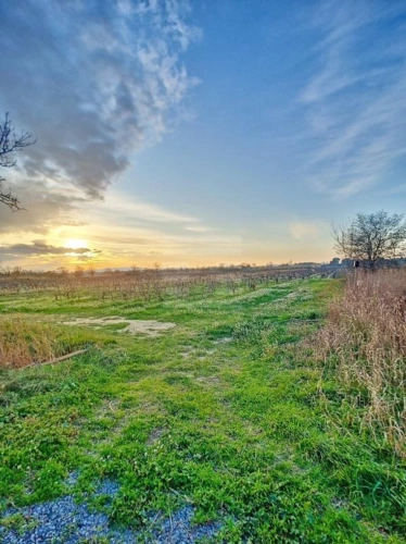 Photos 10 - Agricole - Propriété