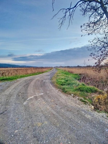 Photos 11 - Agricole - Propriété