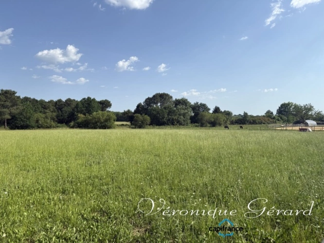 Photos 18 - Prestige - Propriété Equestre avec maison en Pierre de 250 M² avec carrière de 60X40