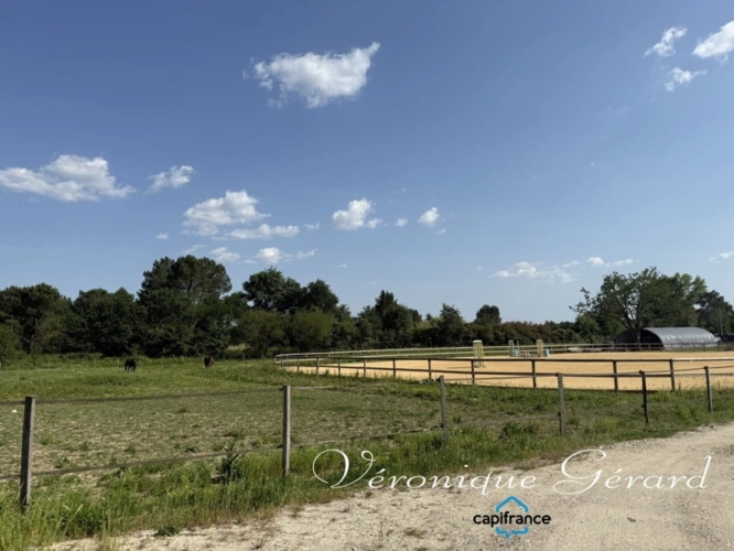 Photos 19 - Prestige - Propriété Equestre avec maison en Pierre de 250 M² avec carrière de 60X40