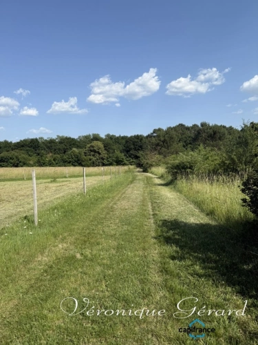Photos 20 - Prestige - Propriété Equestre avec maison en Pierre de 250 M² avec carrière de 60X40