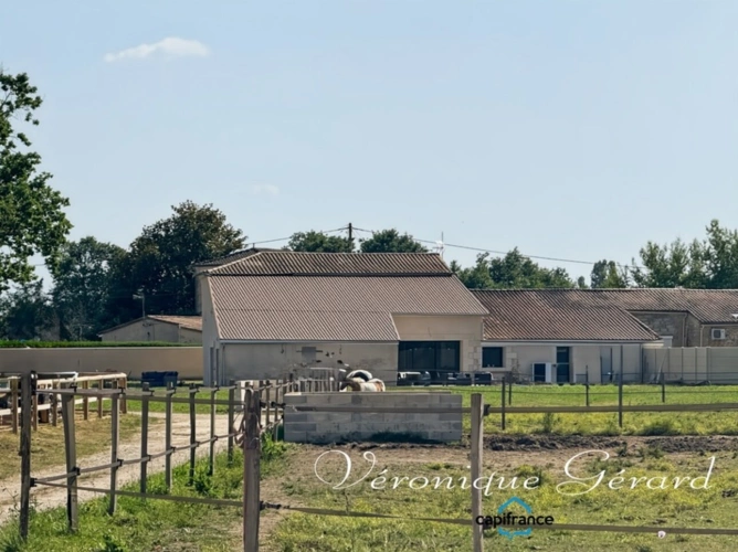 Photos 33 - Prestige - Propriété Equestre avec maison en Pierre de 250 M² avec carrière de 60X40