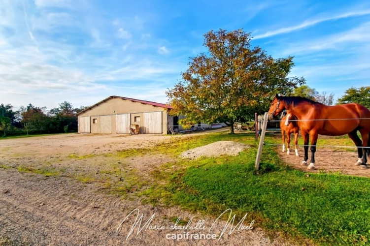 Photos 9 - Équestre - Propriété de 7ha avec deux habitations et nombreuses dépendances