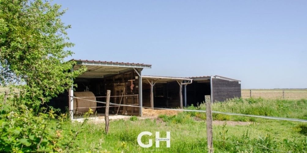 Photos 25 - Prestige - Propriété de 6 hectares à vendre GEHEE (36)