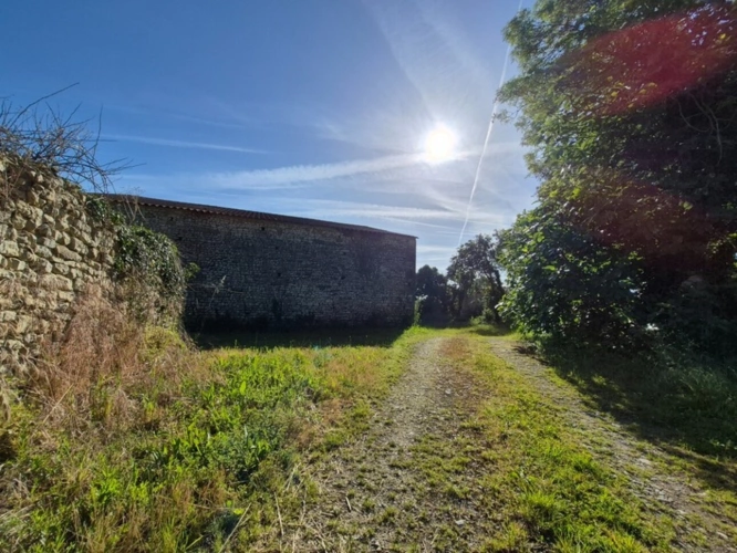 Photos 4 - Rurale - Grange agricole 170 m² avec terrain – Saint-Coutant-le-Grand 17430