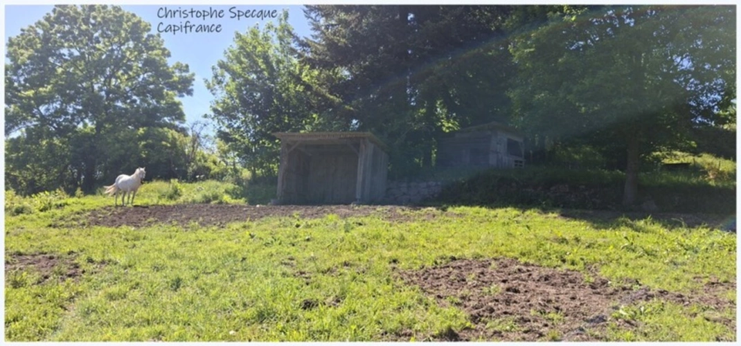 Photos 6 - Équestre - Propriete à vendre 5 pièces ARCONSAT (63)