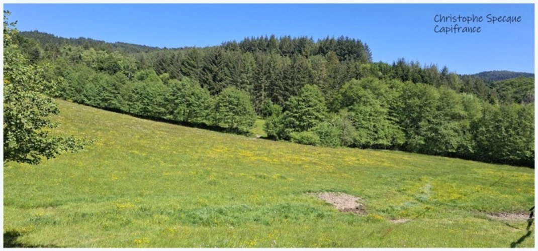 Photos 7 - Équestre - Propriete à vendre 5 pièces ARCONSAT (63)