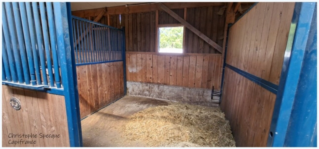 Photos 10 - Équestre - Propriete à vendre 5 pièces ARCONSAT (63)