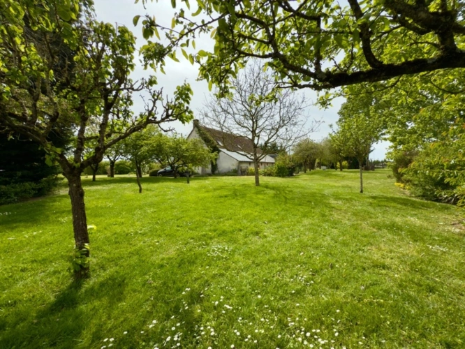 Photos 15 - Équestre - Propriété à vendre avec 2 hectares, 6 pièces,  piscine, dépendances et pré cloturé et équipé – Mazangé (41)