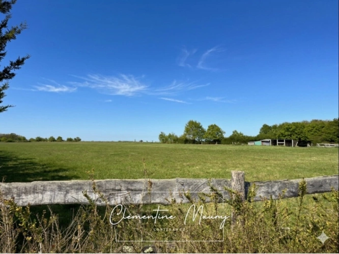 Photos 13 - Équestre - Propriété à vendre avec 2 hectares, 6 pièces,  piscine, dépendances et pré cloturé et équipé – Mazangé (41)