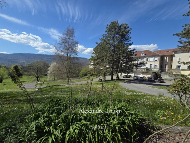 Photos 3 - Prestige - Propriété à vendre  CONFORT (01)