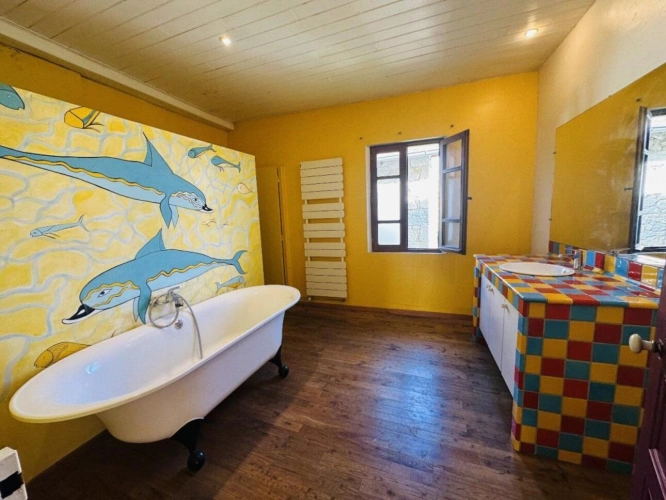 Photos 18 - Prestige - Propriété de 230m² sur Lasserre 09230