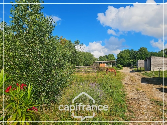 Photos 1 - Prestige - Propriété en pierre avec installations équestres complètes à 30 minutes d'Agen