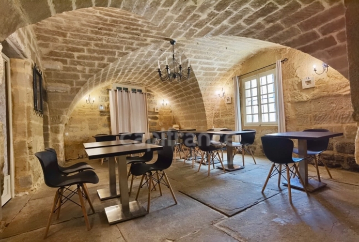 Photos 14 - Prestige - Dpt Gard (30), à vendre UZES propriete P14 de 548 m² - Terrain de 830,00 m²