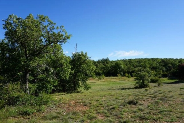 Photos 19 - Tourist - Property Gites and bed and breakfast 20 hA - 550 m2 in Banon