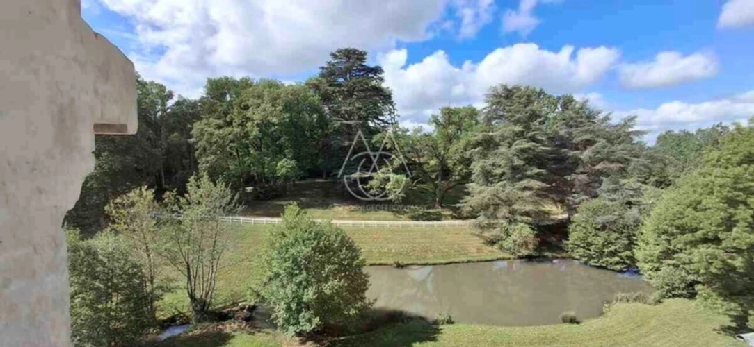 Photos 6 - Prestige - Château du XIXe siècle avec un parc de 75 ha, situé à proximité immédiate de Poitiers