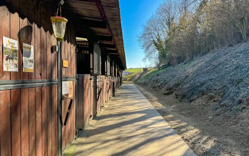 Photos 17 - Équestre - BIENVENUE A L’ECURIE DU SORET !
