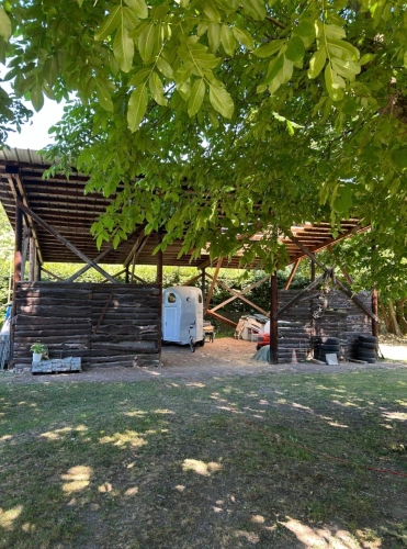 Photos 4 - Equestrian - Beautiful estate for horse enthusiasts market gardening area in Colmar
