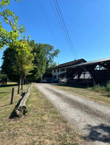 Photos 6 - Equestrian - Beautiful estate for horse enthusiasts market gardening area in Colmar