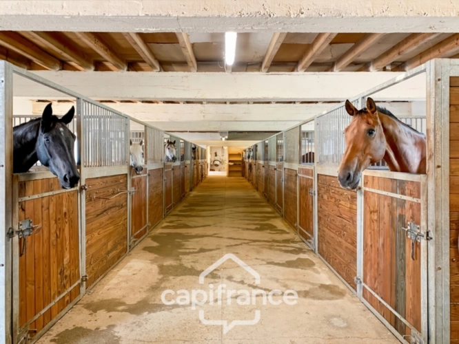 Photos 29 - Équestre - Château, installation équestre (haras) à vendre au coeur du bocage bourbonnais - Maison de gardien, club house, maison des cavaliers, boxes, écuries - Terrain de 40 hectares