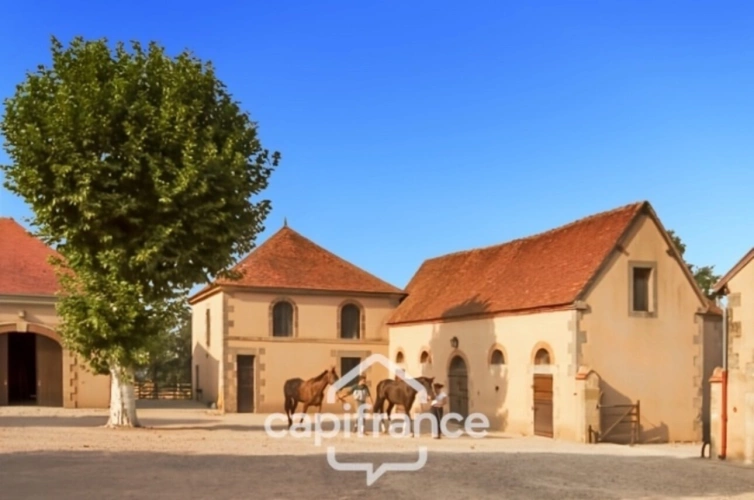 Photos 33 - Équestre - Château, installation équestre (haras) à vendre au coeur du bocage bourbonnais - Maison de gardien, club house, maison des cavaliers, boxes, écuries - Terrain de 40 hectares