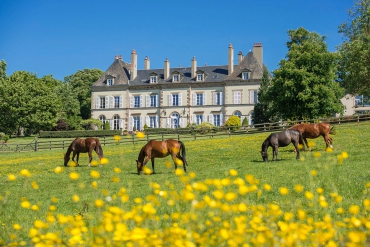 Photos 7 - Équestre - Château, installation équestre (haras) à vendre au coeur du bocage bourbonnais - Maison de gardien, club house, maison des cavaliers, boxes, écuries - Terrain de 40 hectares
