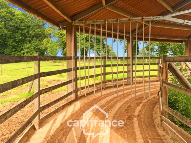 Photos 26 - Équestre - Château, installation équestre (haras) à vendre au coeur du bocage bourbonnais - Maison de gardien, club house, maison des cavaliers, boxes, écuries - Terrain de 40 hectares