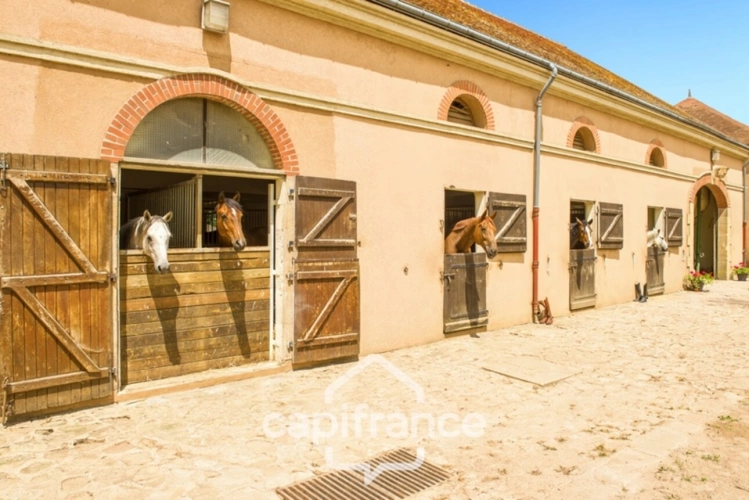 Photos 28 - Équestre - Château, installation équestre (haras) à vendre au coeur du bocage bourbonnais - Maison de gardien, club house, maison des cavaliers, boxes, écuries - Terrain de 40 hectares