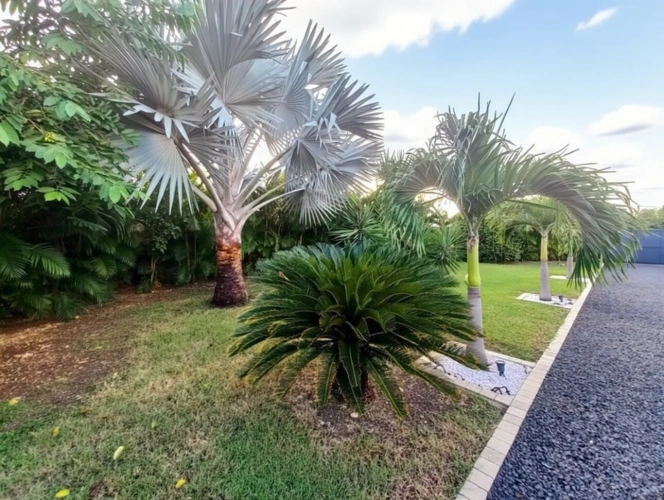 Photos 13 - Prestige - Villa 3 suites avec rentabilité locative prouvée à vendre Saint-François, Guadeloupe (971)