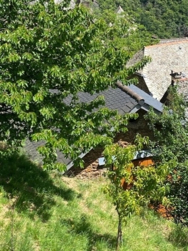 Photos 2 - Rurale - Splendide: Grange à transformer  à La Vinzelle (12)